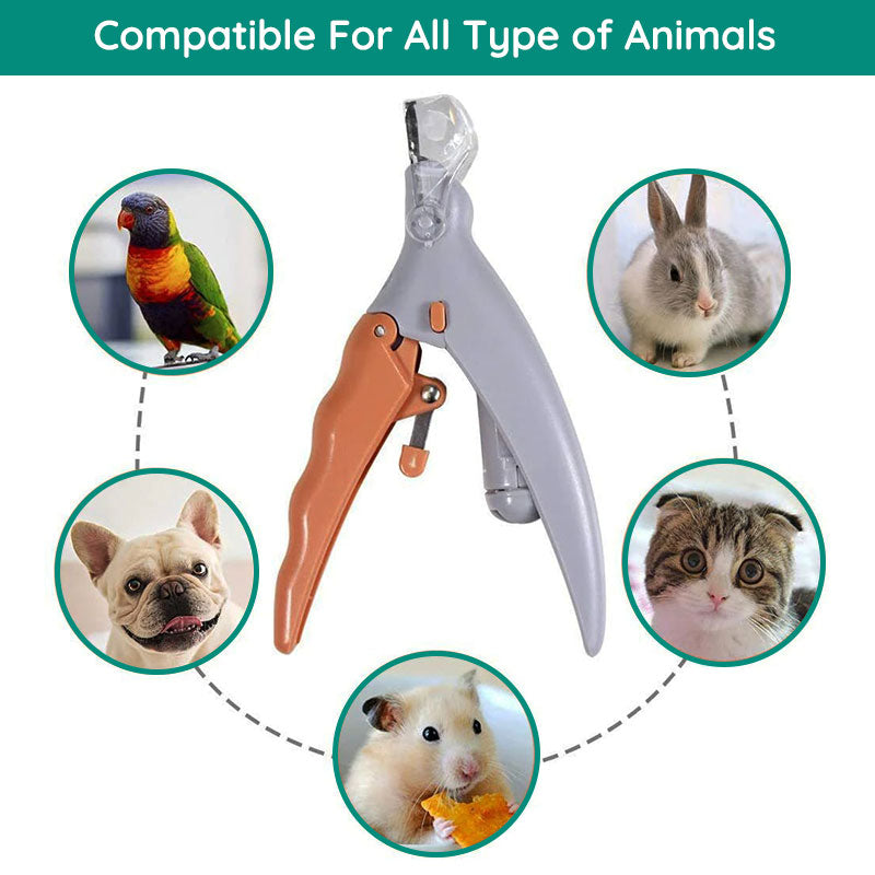 Dog Nail Clipper with Quick Sensor - LED Light, Stainless Steel Blades, Safe Trim for Dark Nails