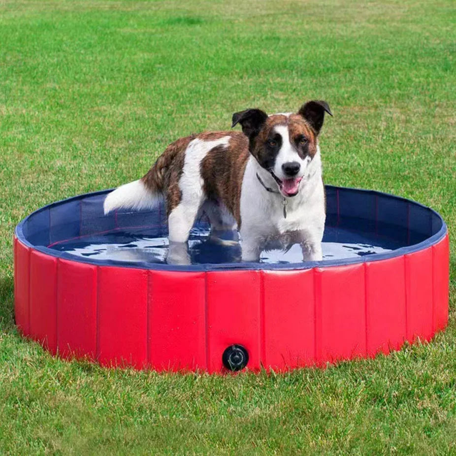 Foldable Dog Pool for Summer Play - Portable No-Pump Splash Pool & Pet Bath Tub, Durable Fabric Kiddie Pool for Dogs, Multiple Sizes
