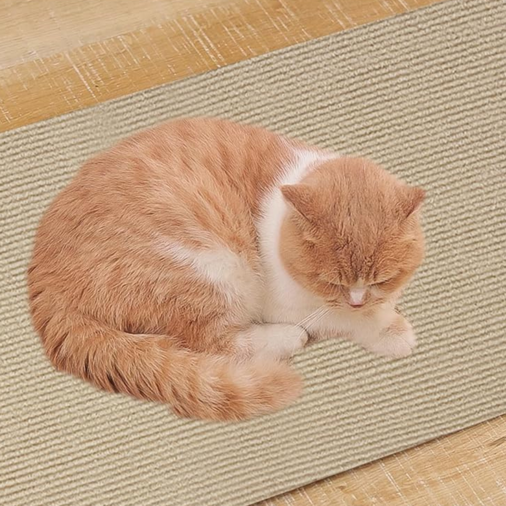 Self-Adhesive Cat Scratch Guard Protector Mat for Couch, Furniture & Walls