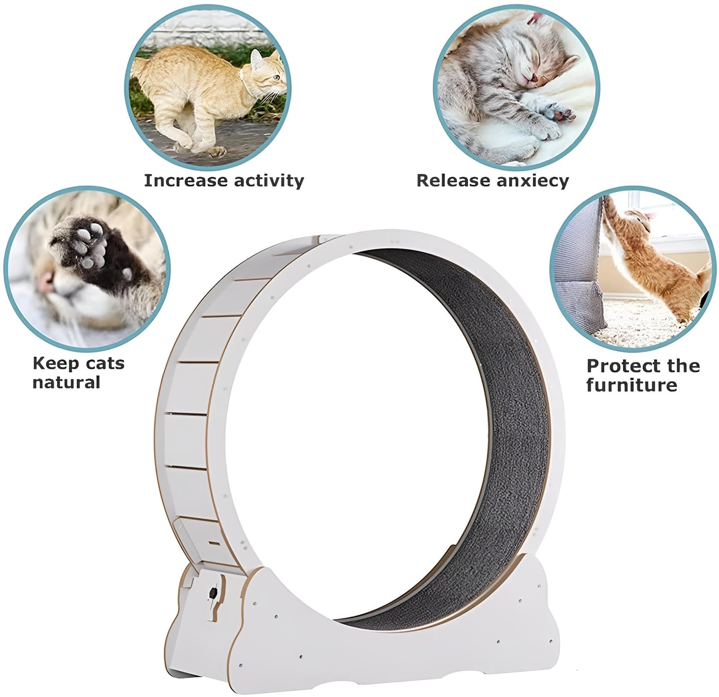 Quiet Cat Exercise Wheel - Indoor Running Wheel for Cats, Low Noise with Cushioned Track