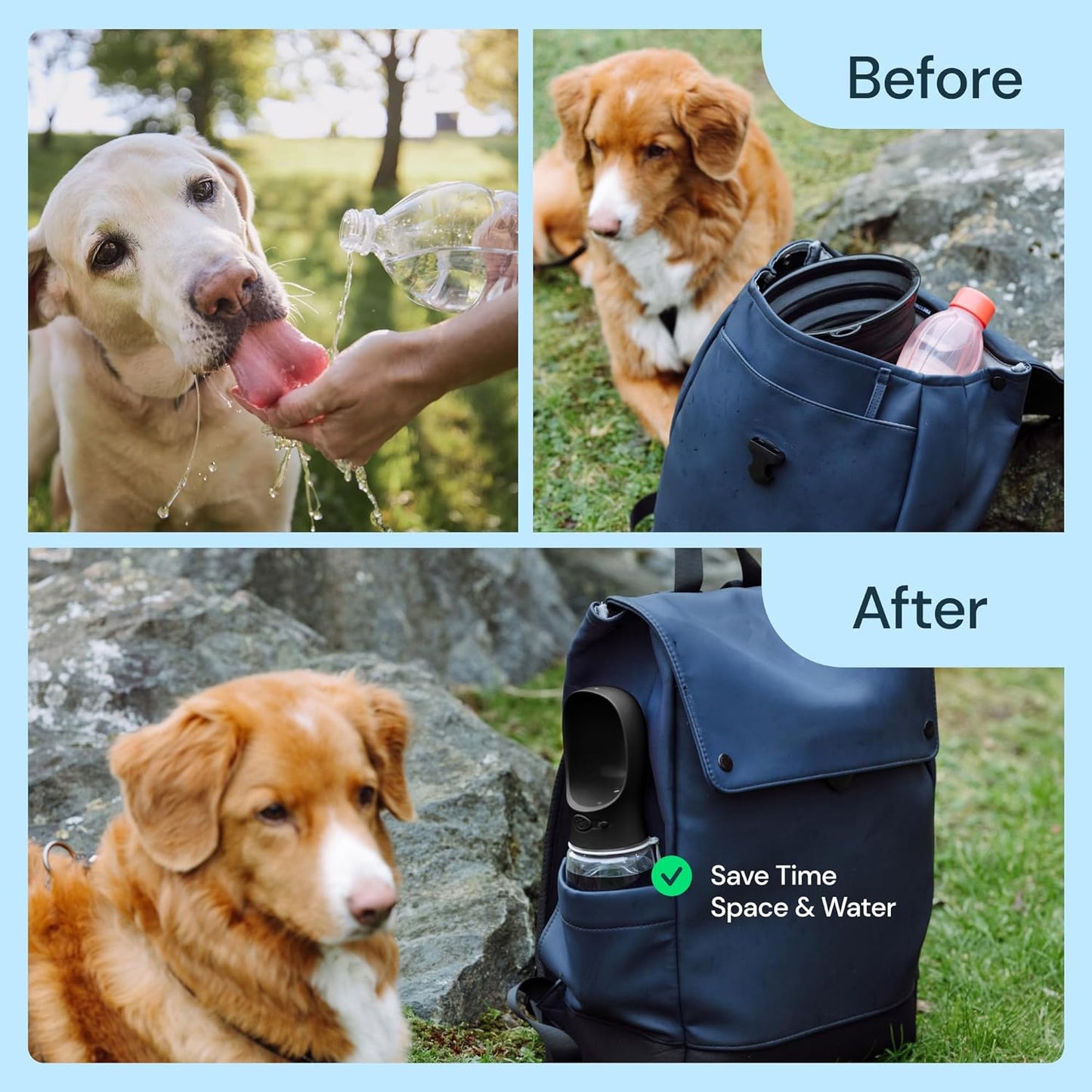 19oz Portable Water Bottle for Dogs - Leak-Proof Travel Bowl Dispenser