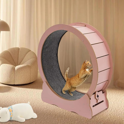 Quiet Cat Exercise Wheel - Indoor Running Wheel for Cats, Low Noise with Cushioned Track