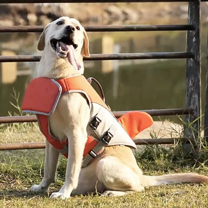 Dog Life Jacket & Float Vest - Buoyancy Swim Vest for Pool, Lake & Beach, Adjustable High-Visibility Safety Vest for Dogs