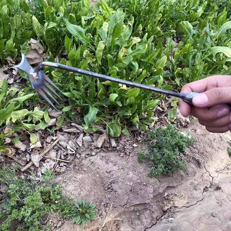 Weed Puller Tool with Steel Claw - Manual Root Removal Garden Weeder, Long Handle Stand-Up Weed Remover for Lawn & Garden Beds
