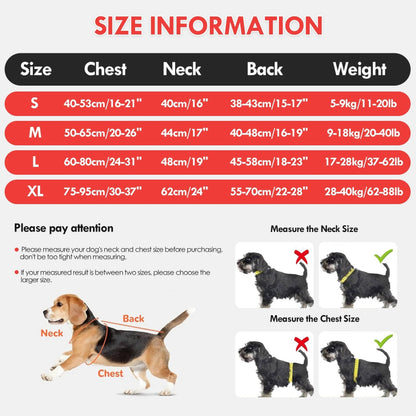 Dog Life Jacket & Float Vest - Buoyancy Swim Vest for Pool, Lake & Beach, Adjustable High-Visibility Safety Vest for Dogs