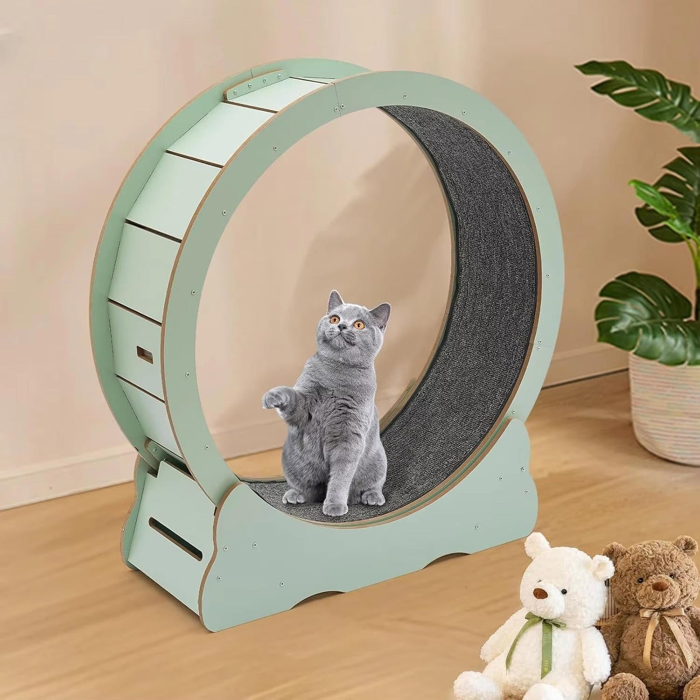 Quiet Cat Exercise Wheel - Indoor Running Wheel for Cats, Low Noise with Cushioned Track