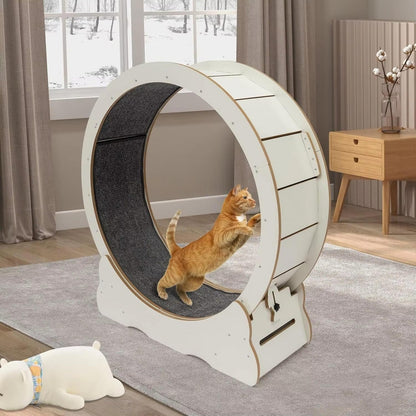 Quiet Cat Exercise Wheel - Indoor Running Wheel for Cats, Low Noise with Cushioned Track