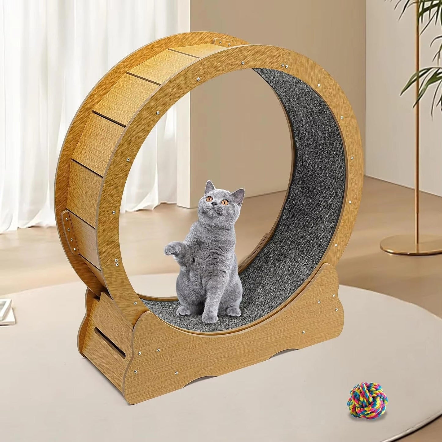 Quiet Cat Exercise Wheel - Indoor Running Wheel for Cats, Low Noise with Cushioned Track