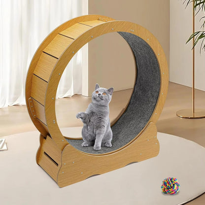 Quiet Cat Exercise Wheel - Indoor Running Wheel for Cats, Low Noise with Cushioned Track
