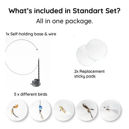 Interactive Feather Bird Toy Set for Cats – Suction Cup Window Base