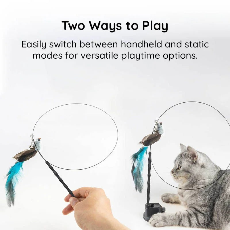 Interactive Feather Bird Toy Set for Cats – Suction Cup Window Base