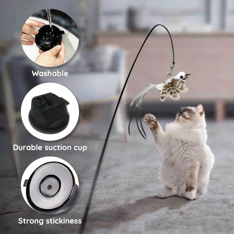 Interactive Feather Bird Toy Set for Cats – Suction Cup Window Base