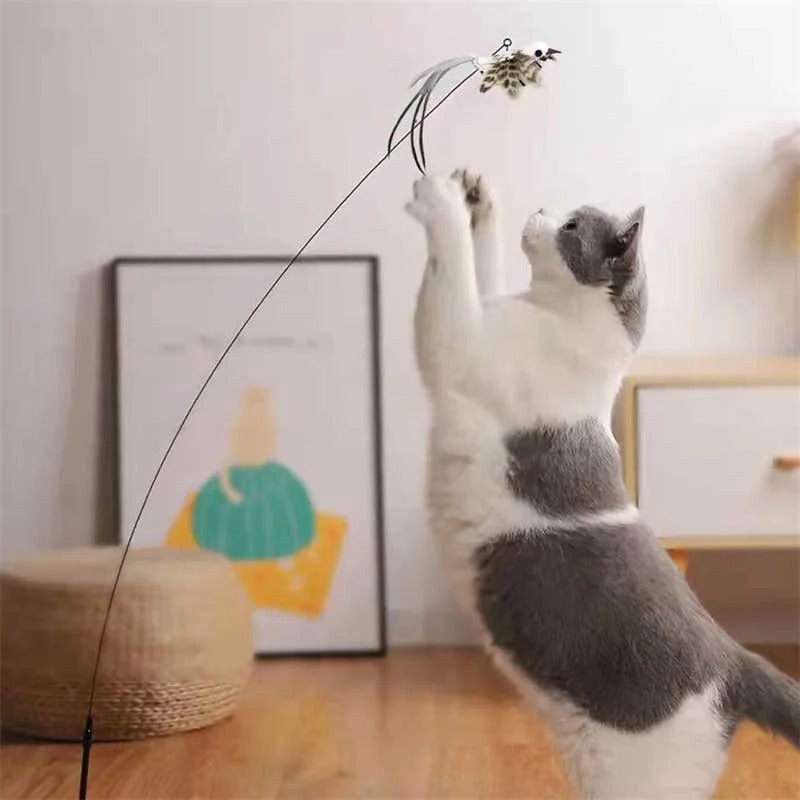 Interactive Feather Bird Toy Set for Cats – Suction Cup Window Base