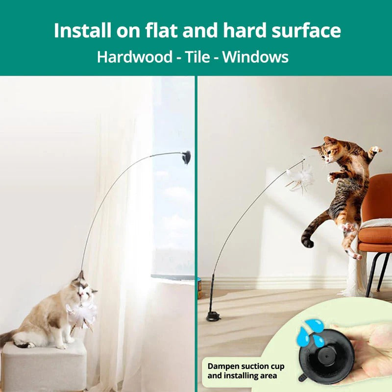 Interactive Feather Bird Toy Set for Cats – Suction Cup Window Base