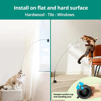 Interactive Feather Bird Toy Set for Cats – Suction Cup Window Base
