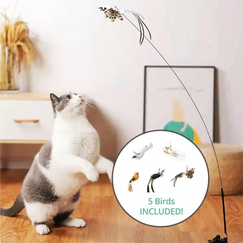 Interactive Feather Bird Toy Set for Cats – Suction Cup Window Base