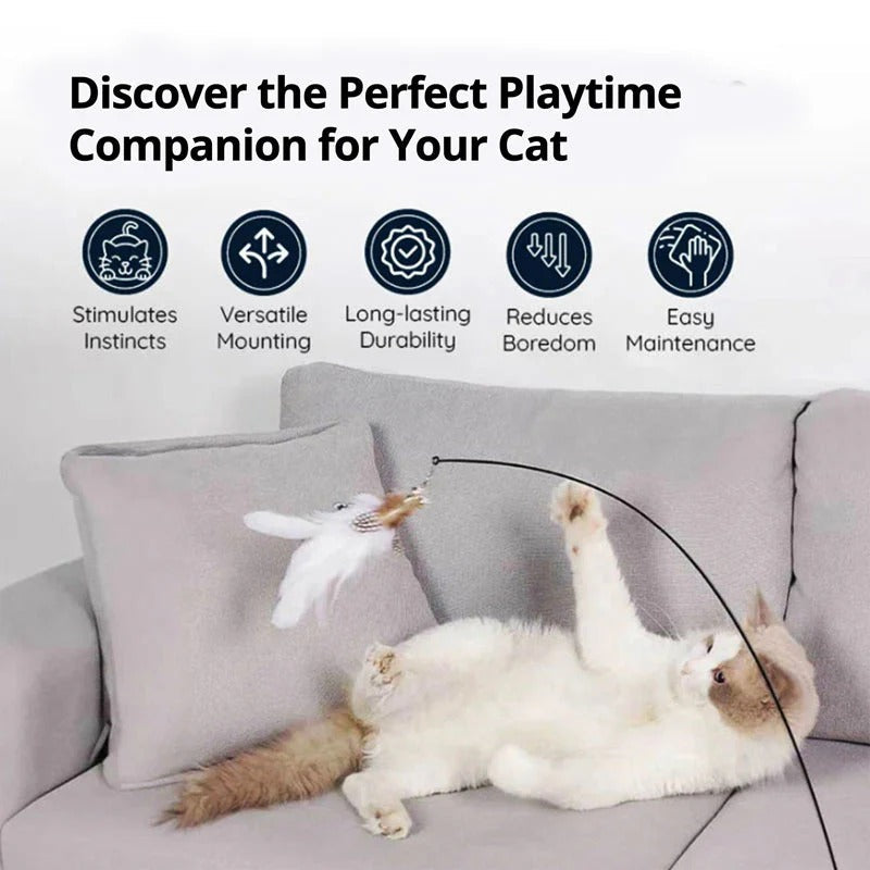 Interactive Feather Bird Toy Set for Cats – Suction Cup Window Base