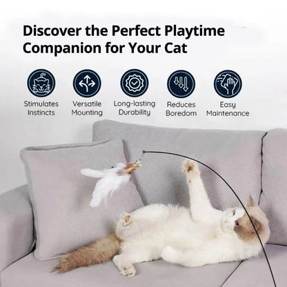 Interactive Feather Bird Toy Set for Cats – Suction Cup Window Base