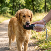 19oz Portable Water Bottle for Dogs - Leak-Proof Travel Bowl Dispenser