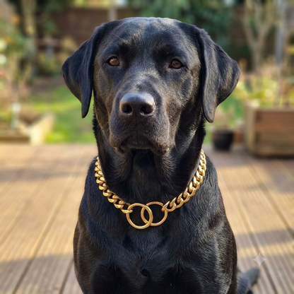 Heavy Duty Adjustable Stainless Steel Dog Chain Collar for Training