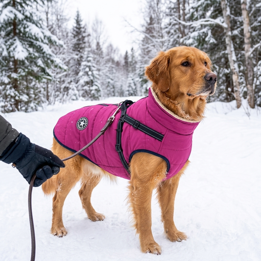 Waterproof Winter Dog Jacket with Built-In Harness - Sherpa Fleece Lined Cold Weather Coat for Dogs