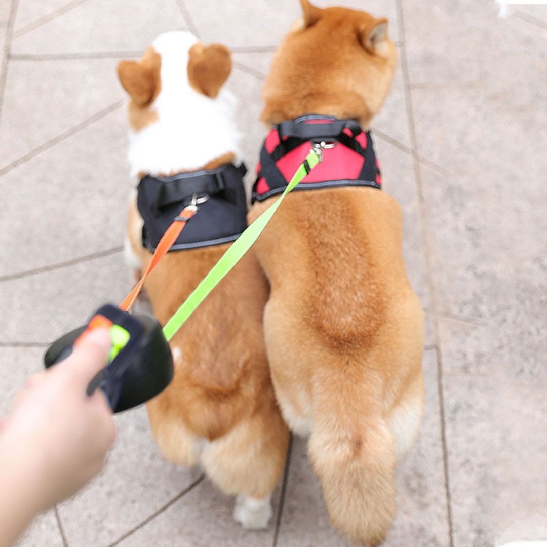 Anti-Tangle Double Dog Leash - No-Tangle Coupler for Walking Two Dogs