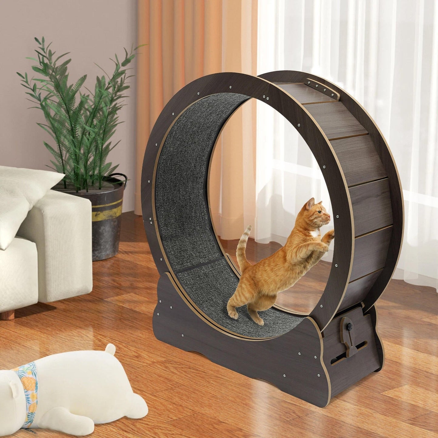 Quiet Cat Exercise Wheel - Indoor Running Wheel for Cats, Low Noise with Cushioned Track